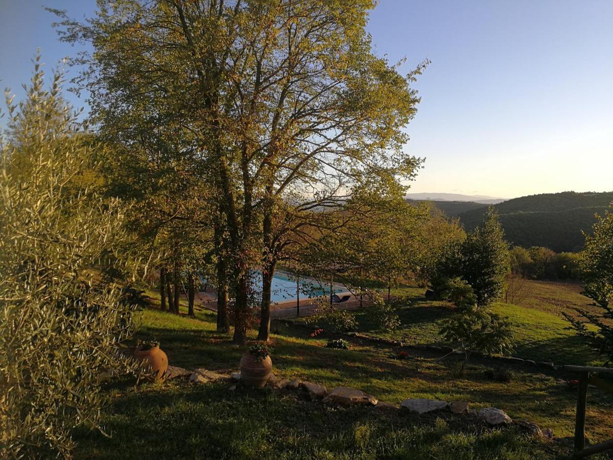 Agriturismo Casa Greppo San Venanzo Exterior photo