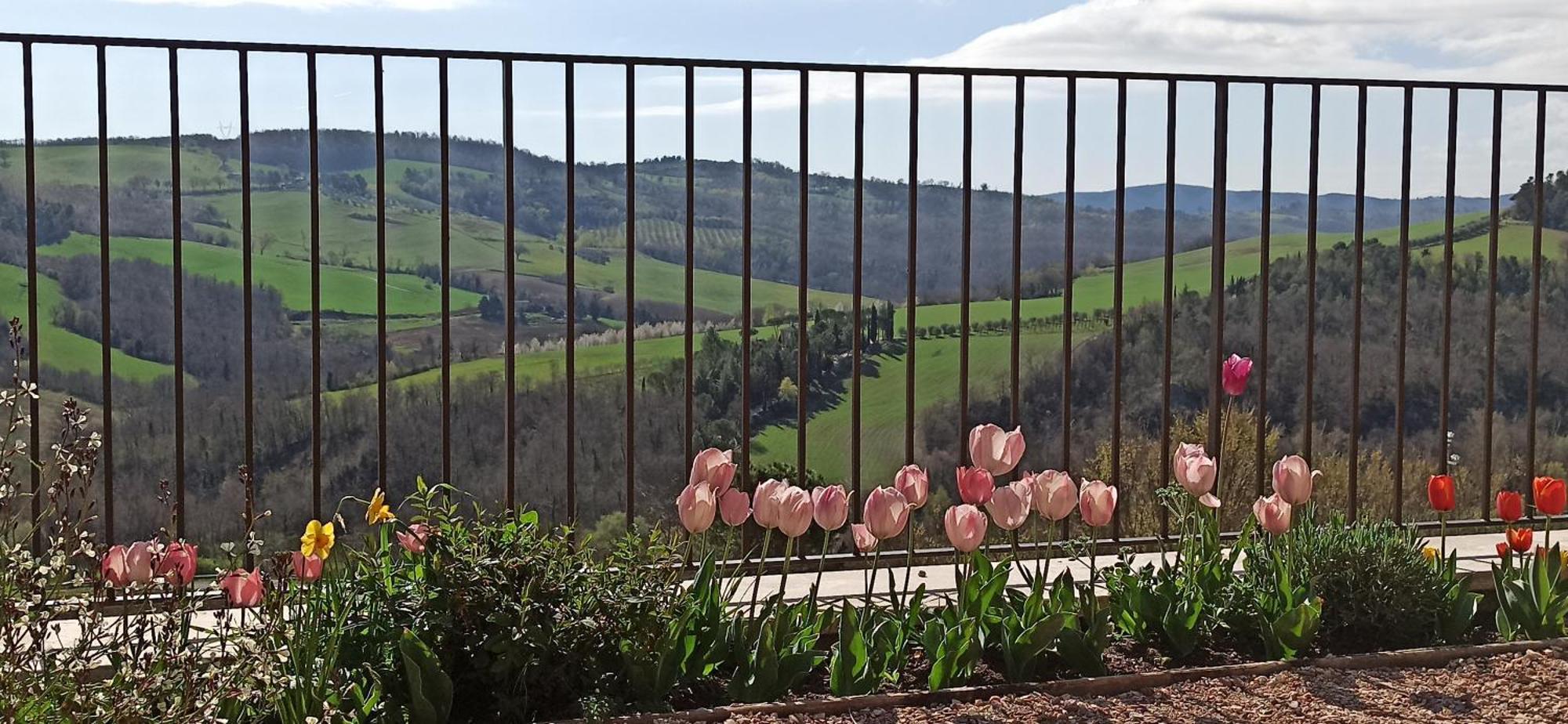 Agriturismo Casa Greppo San Venanzo Exterior photo
